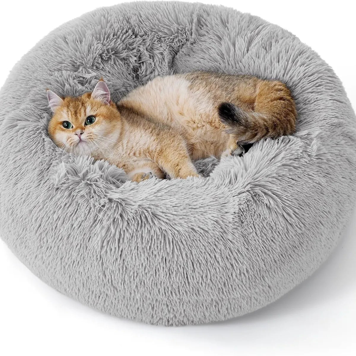 Two cats in a fluffy gray pet bed 