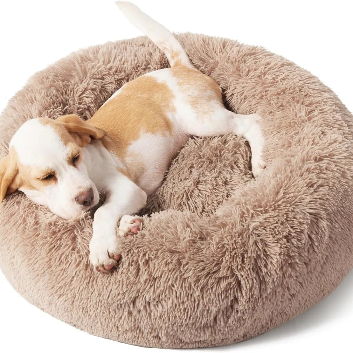 Dog lying on a fluffy beige pet bed
