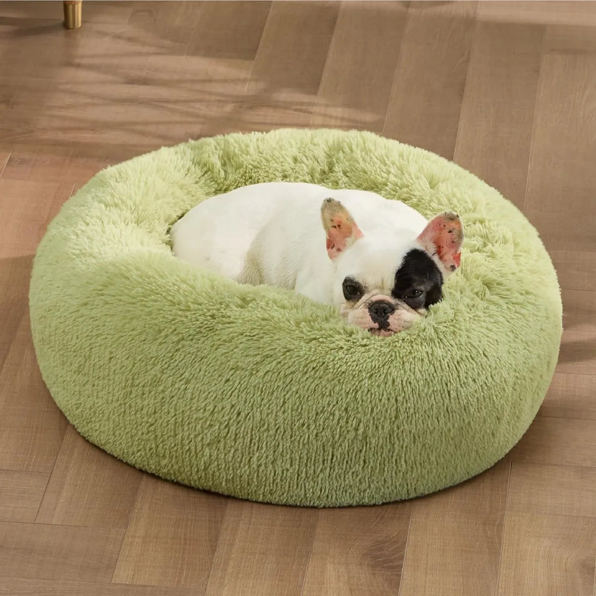 Dog lying on a green fluffy donut bed on a wooden floor