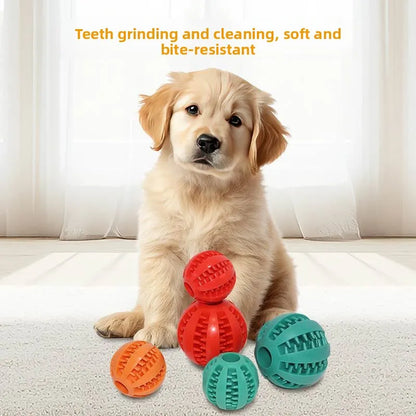 Novoraa Pet Chew Toy with Food Dispenser