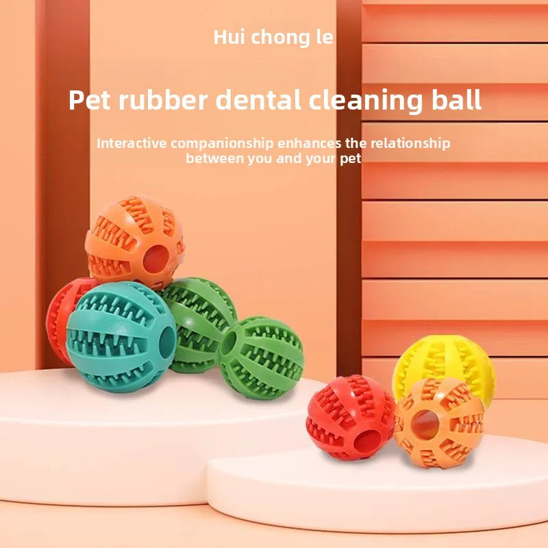 Novoraa Pet Chew Toy with Food Dispenser