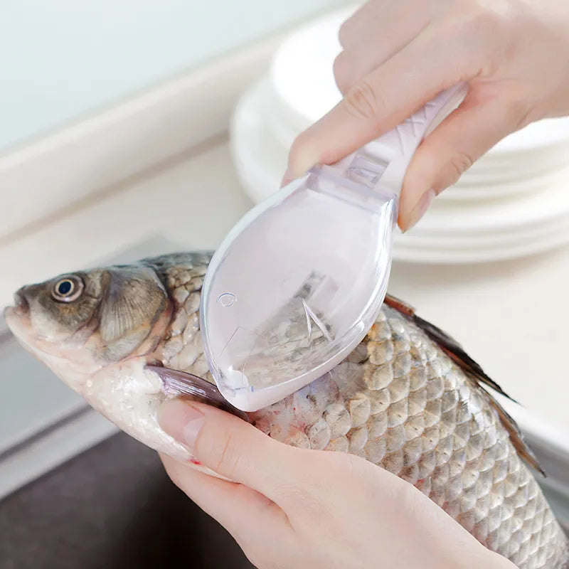 Person using a fish scaler tool on a fish