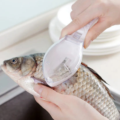 Person using a fish scaler tool on a fish